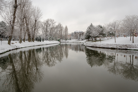 Winter landscape  with snow covered at the park and reflection.の写真素材