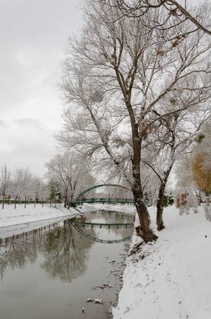 Winter landscape. Trees with snow  and reflection of bridgeの写真素材