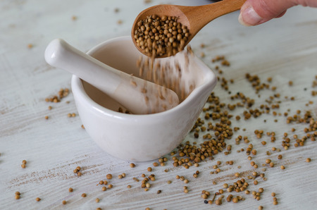 Woman is filling the coriander seeds with spoon into the white  porcelain mortarの写真素材