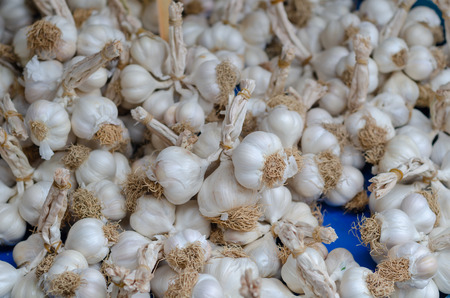Garlic for sale in big supermarket