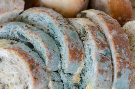 Moldy bread slices on wooden cutting board.Moldy inedible food.