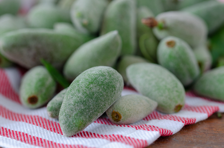 Stack of Fresh Green Almond  Fruits On The Napkin Ä°n The Kitchen.の写真素材