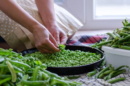The woman is  preparing peas for winter.Healthy lifestyle,  vegetarian food.