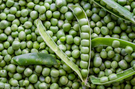 Organic fresh green peas. Healthy lifestyle, summer vegetarian food.の写真素材