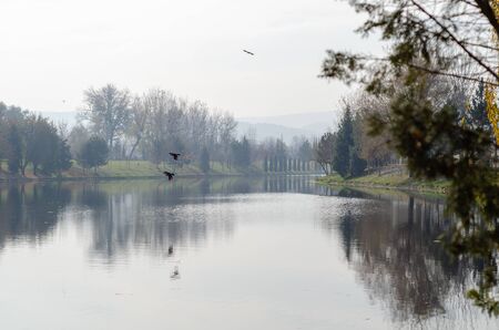 Autumn landscape with reflection of trees in water on a foggy day.The birds  flying on sky.の写真素材