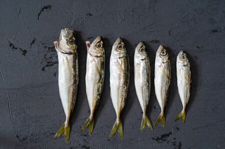 Fresh and raw fish lined up from large to small on the black background.の写真素材