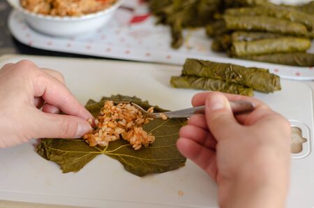 Traditional Turkish Dolma or Sarma.  The woman is stuffing grapes leaves on the white backgroundの写真素材