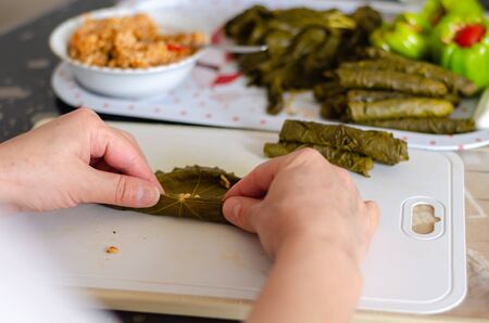 Traditional Turkish Dolma or Sarma.  The woman is stuffing grapes leaves on the white backgroundの写真素材