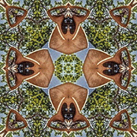Kaleidoscope of color with beautiful ornamental - Thorough background summary - seamless