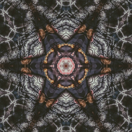 Kaleidoscope of color with beautiful ornamental - Thorough background summary - seamlessの写真素材