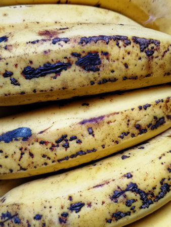 Close up of a bunch of bananas with black spots, food backgroundの写真素材