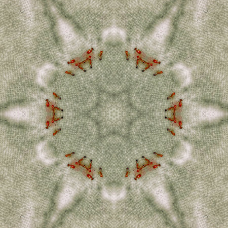 Kaleidoscope of color with ornamental - Thorough background summary - seamless