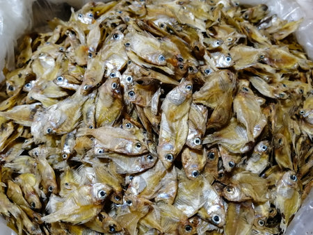 Dried fish for sale in a fish market in Istanbul, Turkeyの写真素材