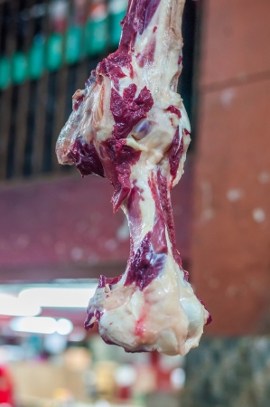 slaughterhouse cows, hanging on hooks in the cold half of cows の写真素材