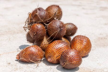 Salak fruit or snake fruits on hard backgroundの写真素材