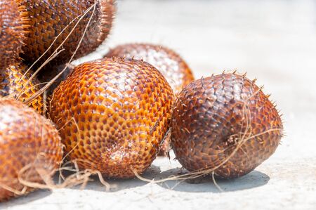 Salak fruit or snake fruits on hard backgroundの写真素材
