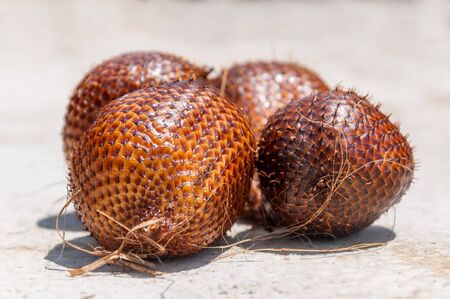 Salak fruit or snake fruits on hard backgroundの写真素材