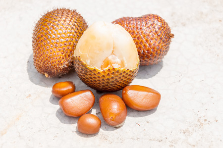 Salak fruit or snake fruits on hard backgroundの写真素材