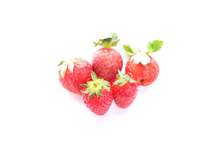 Red Strawberry on white backgroundの写真素材