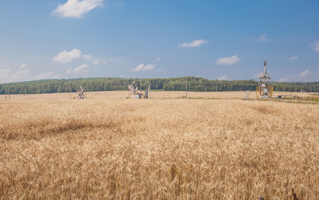 Oil rocking among the grain fields.の写真素材