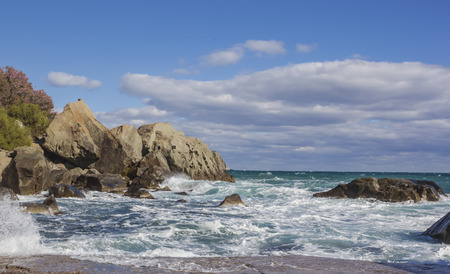 Sea shore and rocks.の写真素材
