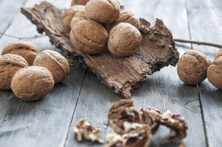 Walnut.のeditorial素材