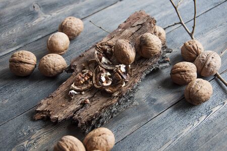 Walnut.のeditorial素材