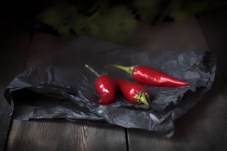 Natural vegetables in the moonlight.の写真素材