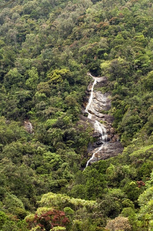 The waterfall dropping from rock in the woodsの写真素材
