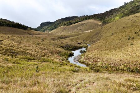 Mist forest, savanna, and water in the fall, Horton Plains, Sri Lankaの写真素材