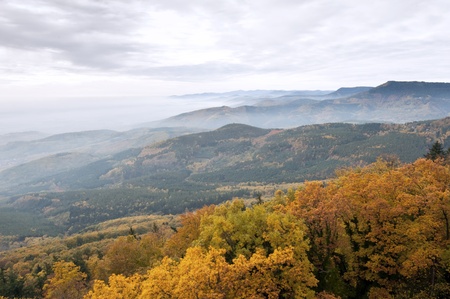 View over the trees into the valleyの写真素材