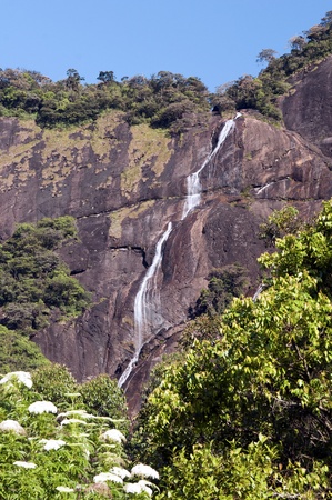 The waterfall dropping from rock in the woodsの写真素材