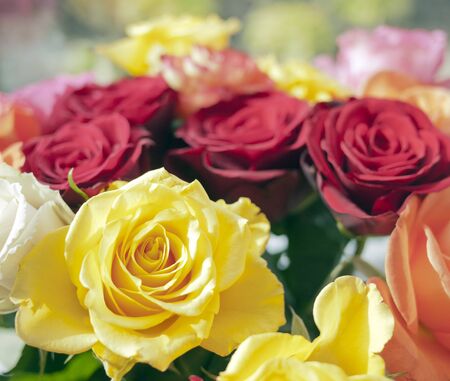 Closeup on the bouquet of multicolored rosesの写真素材