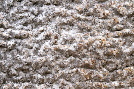 Closeup of rough bark of old baobab