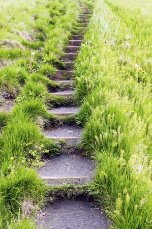 Stairs leading upwards in the grass, Icelandの写真素材