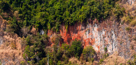 Trees and limestone rocks, Khao Sok National Park, Thailandの写真素材