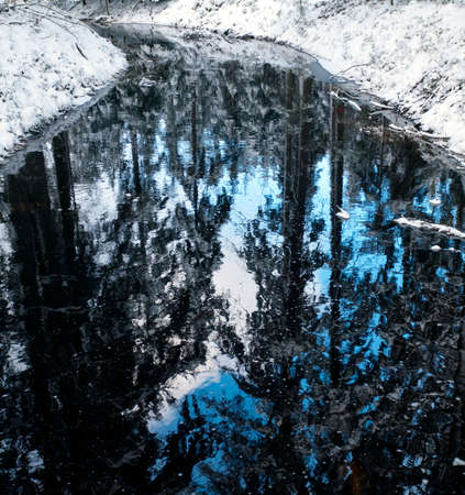 A view of water reflecting the image of woods.の写真素材