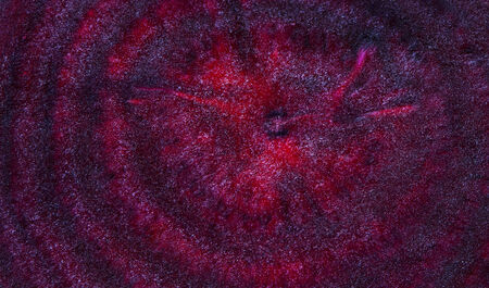Section through taproot of the beetroot (the background)の写真素材