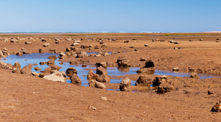The landscape with sand and rocks at low tide