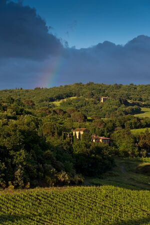 The hilly landscape and the evening sunlight. Tuscany, Italyの写真素材