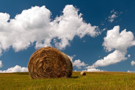 The summer landscape with hay bales on a meadowの写真素材