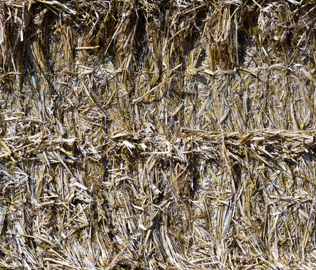 A closeup of a bale of straw (the background)の写真素材