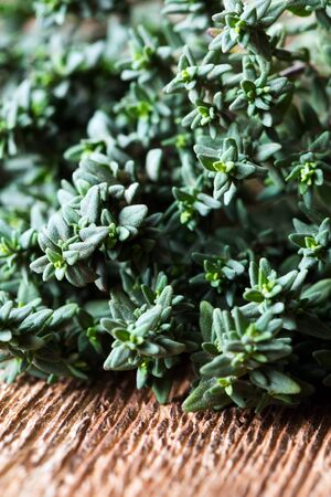 A close-up of several fresh green thyme sprigsの写真素材