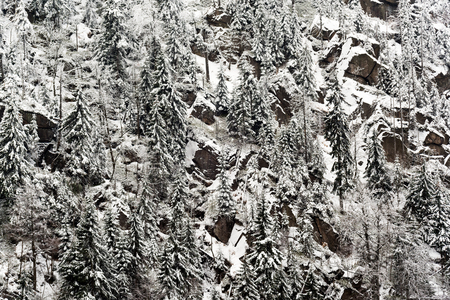 The winter mountain landscape with trees and rockの写真素材