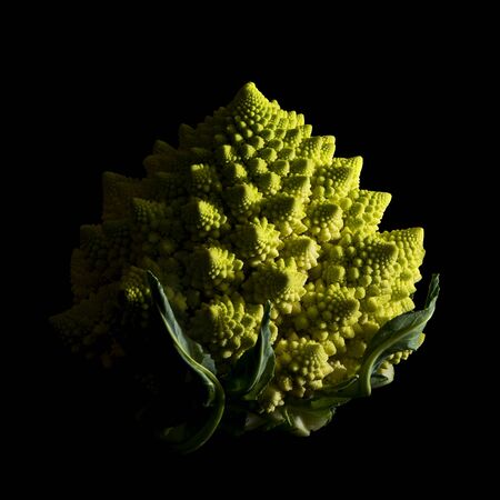 A Romanesco broccoli (also known as Roman cauliflower) with visually striking fractal form on a black backgroundの写真素材