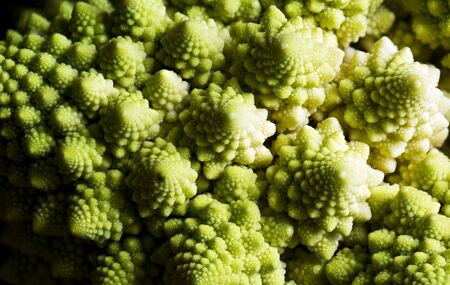 A closeup of natural fractals of the Romanesco broccoliの写真素材