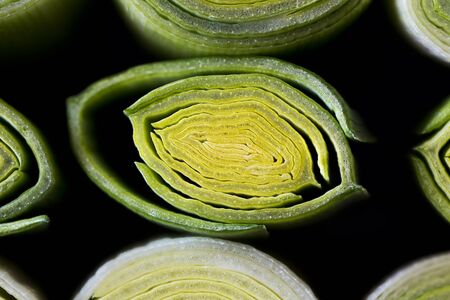 Cross-section of a leek. A closeup of green and yellow inner part of the leek on black background. の写真素材