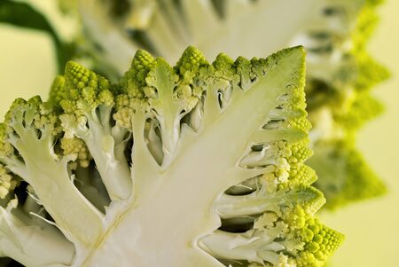 A closeup of a half of a Romanesco broccoli (also known as Roman cauliflower)の写真素材