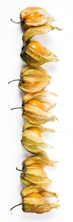 Several berries of physalis on a white background. Top viewの写真素材