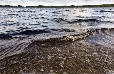The late summer landscape with a lake a forest. Swedenの写真素材
